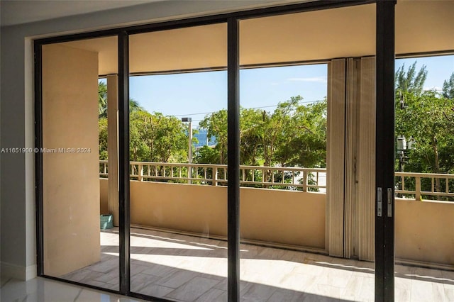 entryway featuring a healthy amount of sunlight