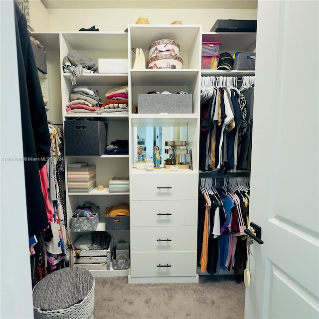 8123 NW 78th St, Tamarac, FL 33321 - walk in closet with carpet floors
