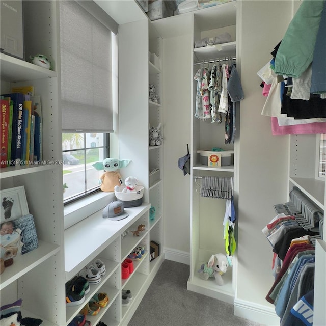 8123 NW 78th St, Tamarac, FL 33321 - walk in closet with carpet flooring