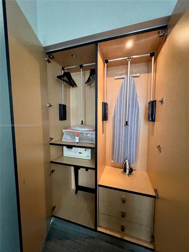view of closet