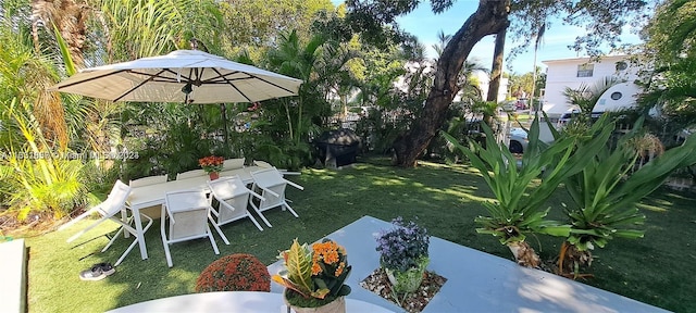 846 Michigan Ave Unit 101, Miami Beach, FL 33139 - view of green lawn featuring outdoor dining space
