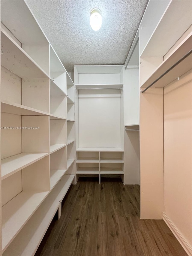 spacious closet featuring dark wood-type flooring