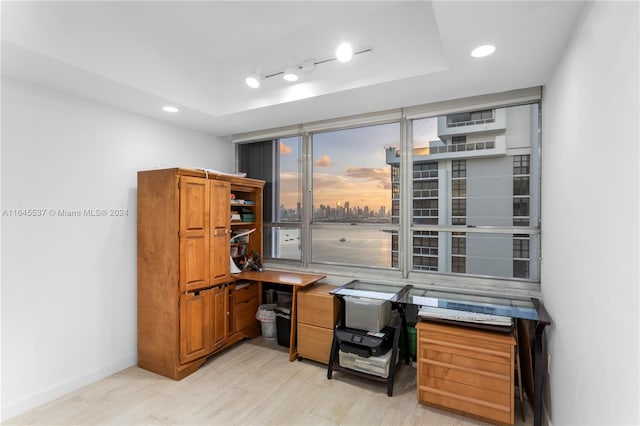 office space featuring a tray ceiling