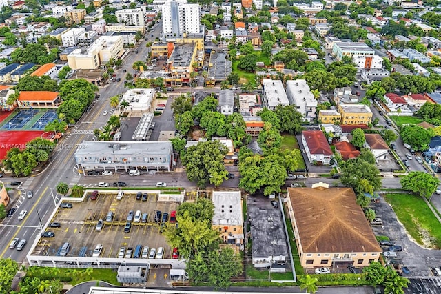 bird's eye view