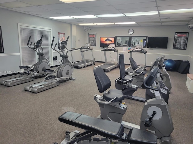 workout area featuring a paneled ceiling and carpet flooring