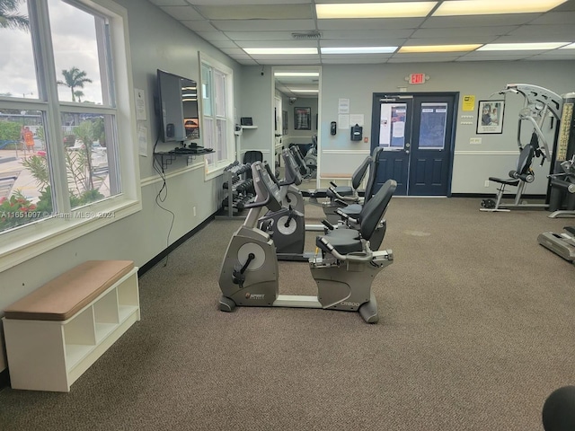 gym with plenty of natural light, a drop ceiling, and carpet floors