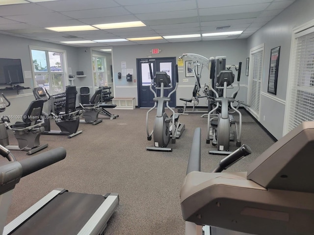 workout area with a paneled ceiling and carpet flooring