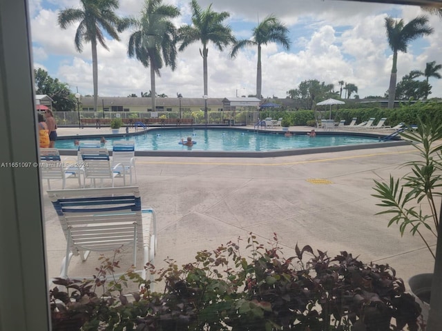 view of pool with a patio