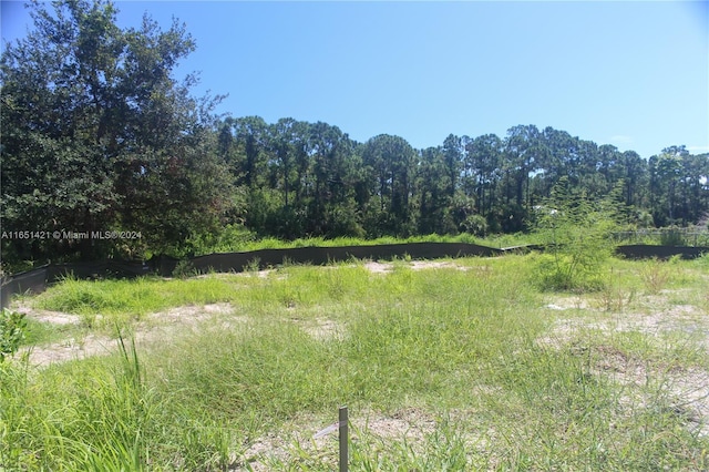 view of local wilderness