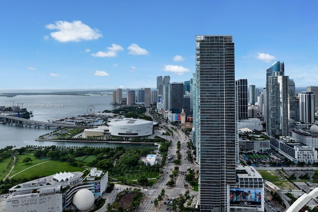 1100 Biscayne Blvd Unit 4004, Miami, FL 33132 - city view with a water view