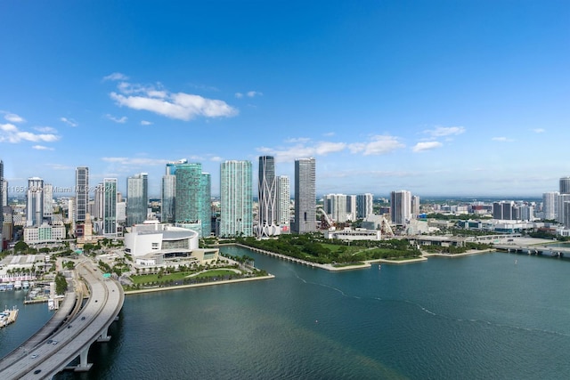 aerial view with a water view