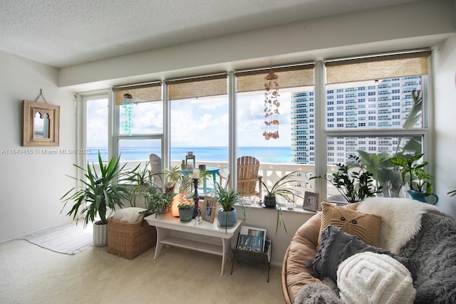 sunroom with a water view