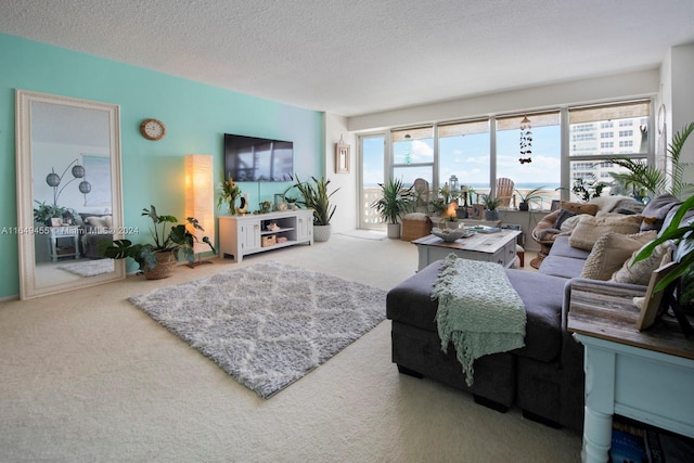 living room featuring a textured ceiling and carpet floors