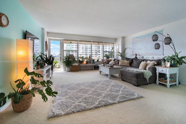 living room featuring carpet flooring and a textured ceiling