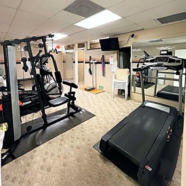 exercise room featuring carpet floors and a drop ceiling