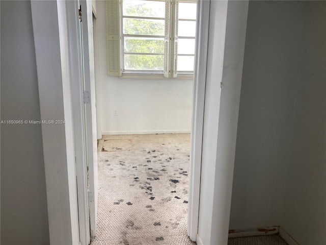 hallway with carpet flooring