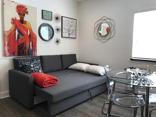 living room with hardwood / wood-style flooring