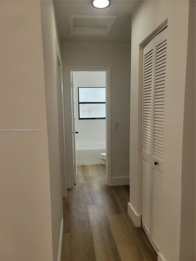 hallway featuring hardwood / wood-style floors