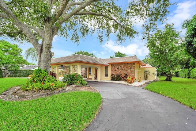 ranch-style house with a front lawn