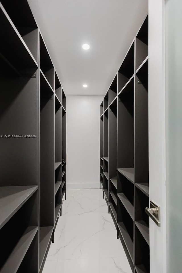 view of walk in closet