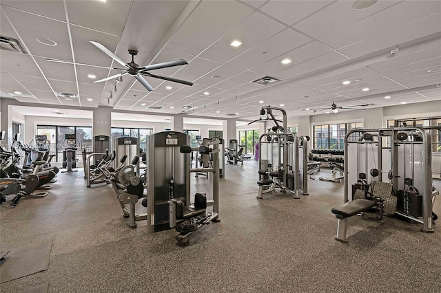 gym with a paneled ceiling, a healthy amount of sunlight, and ceiling fan