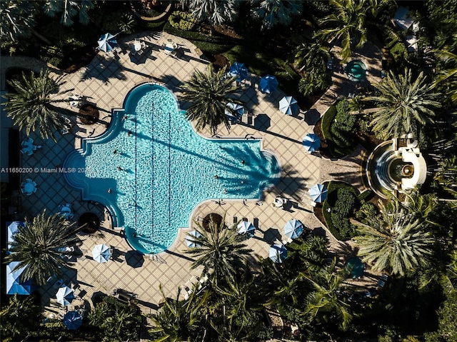 view of pool featuring a patio area