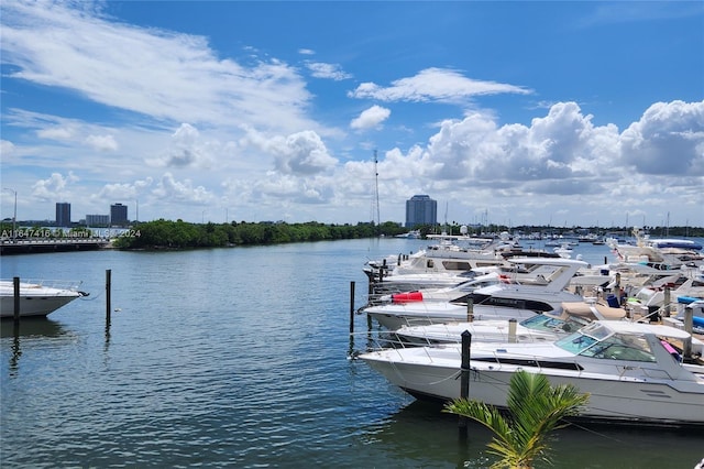 dock area with a water view