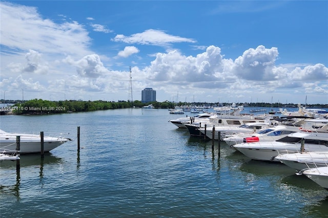 dock area featuring a water view