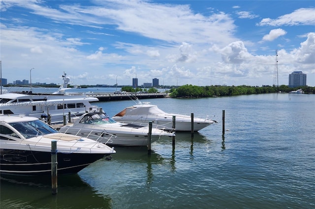 view of dock featuring a water view