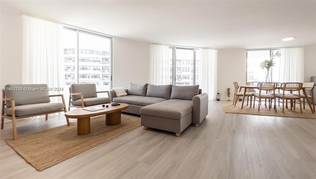 living room with a healthy amount of sunlight, expansive windows, and light hardwood / wood-style floors