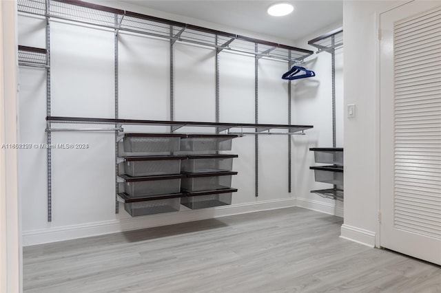 walk in closet featuring wood finished floors