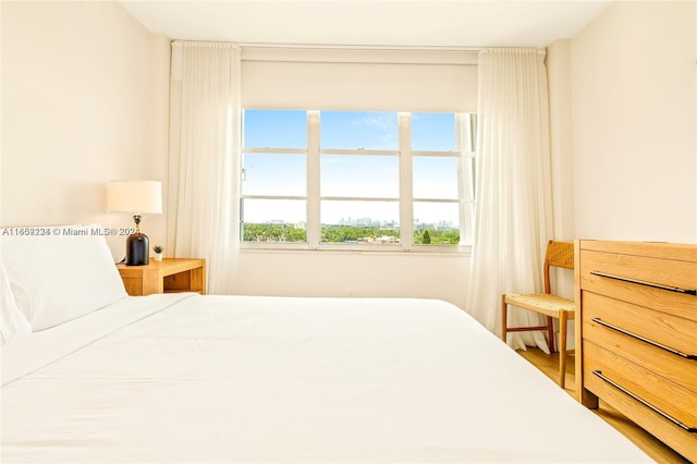 bedroom with multiple windows and wood-type flooring