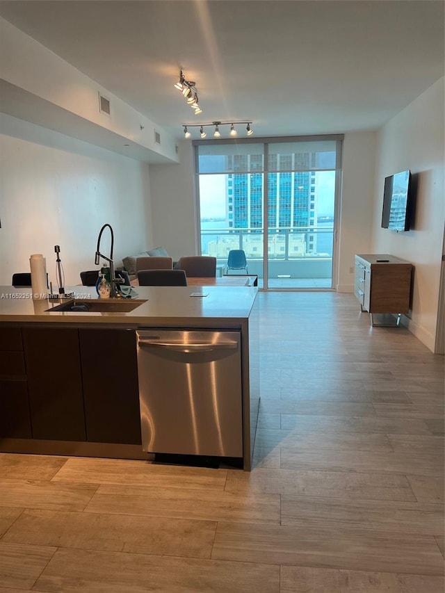 kitchen featuring rail lighting, light hardwood / wood-style floors, sink, and stainless steel dishwasher