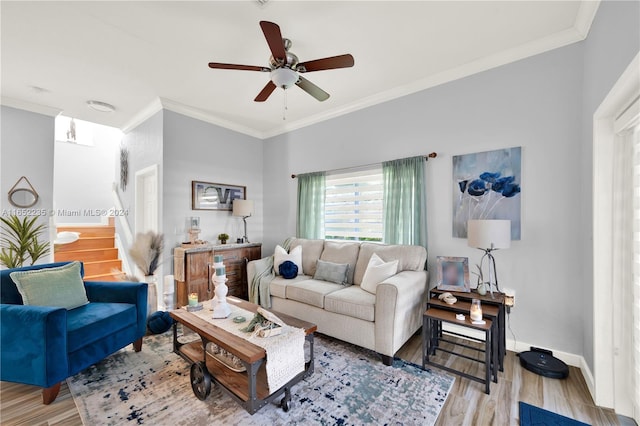 living room with ceiling fan, light wood-type flooring, and crown molding