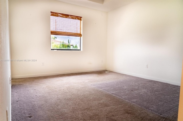 interior space featuring ceiling fan, a closet, and carpet floors