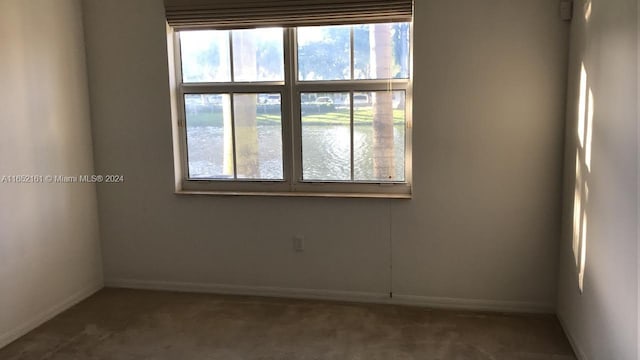 carpeted empty room with a healthy amount of sunlight