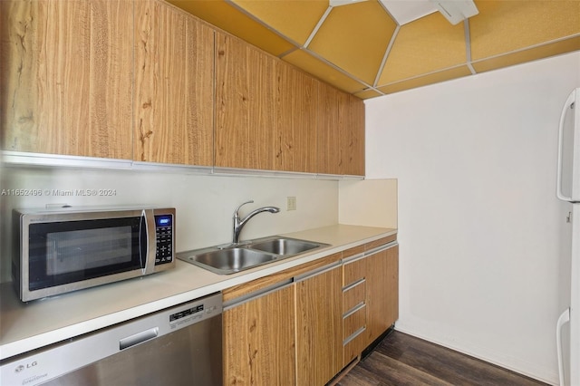 kitchen with dark hardwood / wood-style floors, sink, and stainless steel appliances