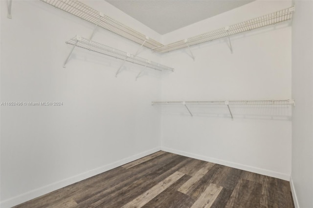 spacious closet featuring dark wood-type flooring