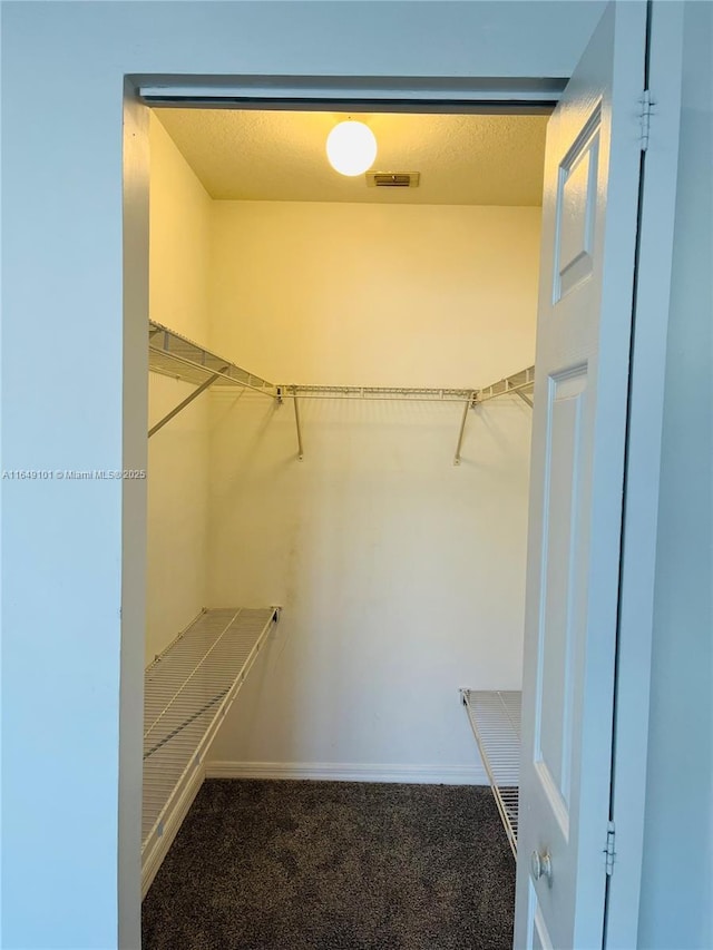 spacious closet featuring carpet flooring