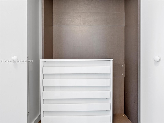 view of closet