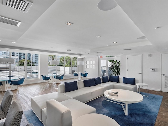 living room featuring a raised ceiling and hardwood / wood-style flooring