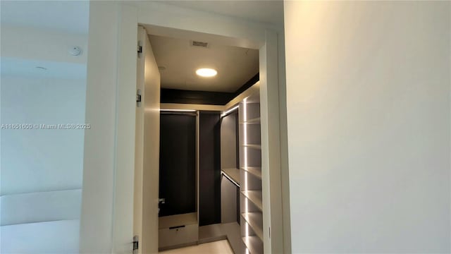 view of walk in closet