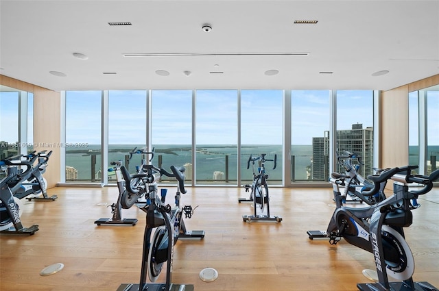 workout area featuring expansive windows, a water view, a wealth of natural light, and light wood-type flooring