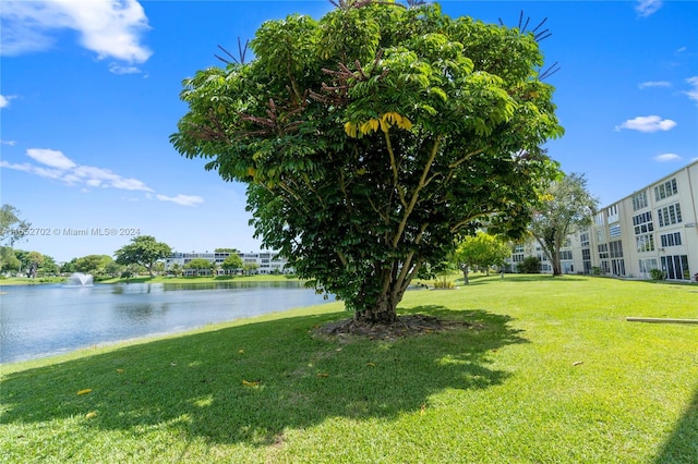 view of yard with a water view