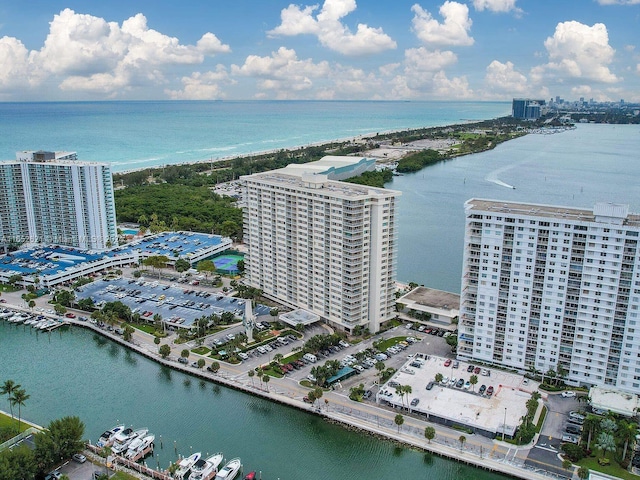 aerial view with a water view