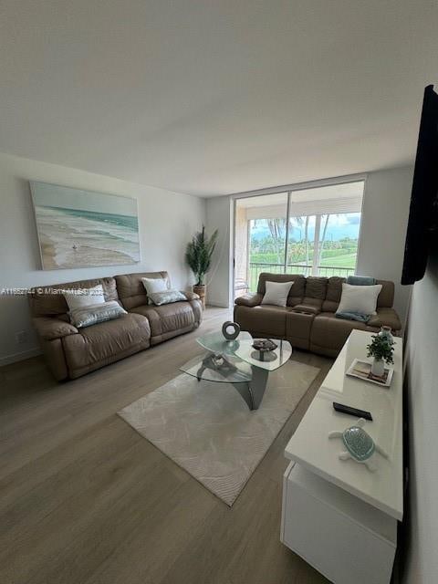 living room featuring hardwood / wood-style floors