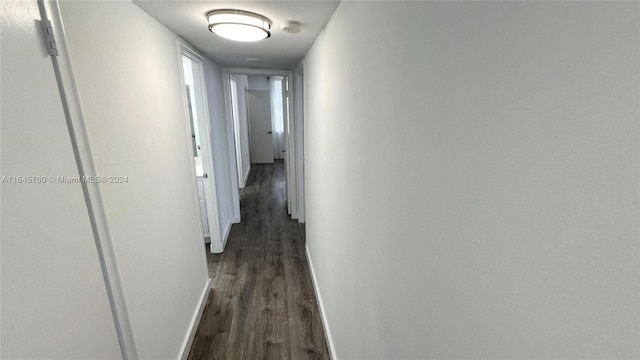 hallway with dark wood-type flooring