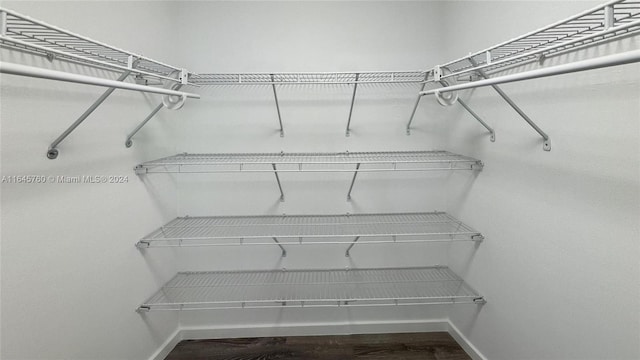 walk in closet featuring dark hardwood / wood-style flooring