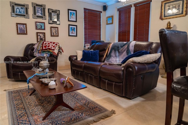 living area featuring ornamental molding