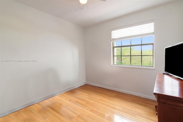 interior space featuring ceiling fan and light wood-type flooring